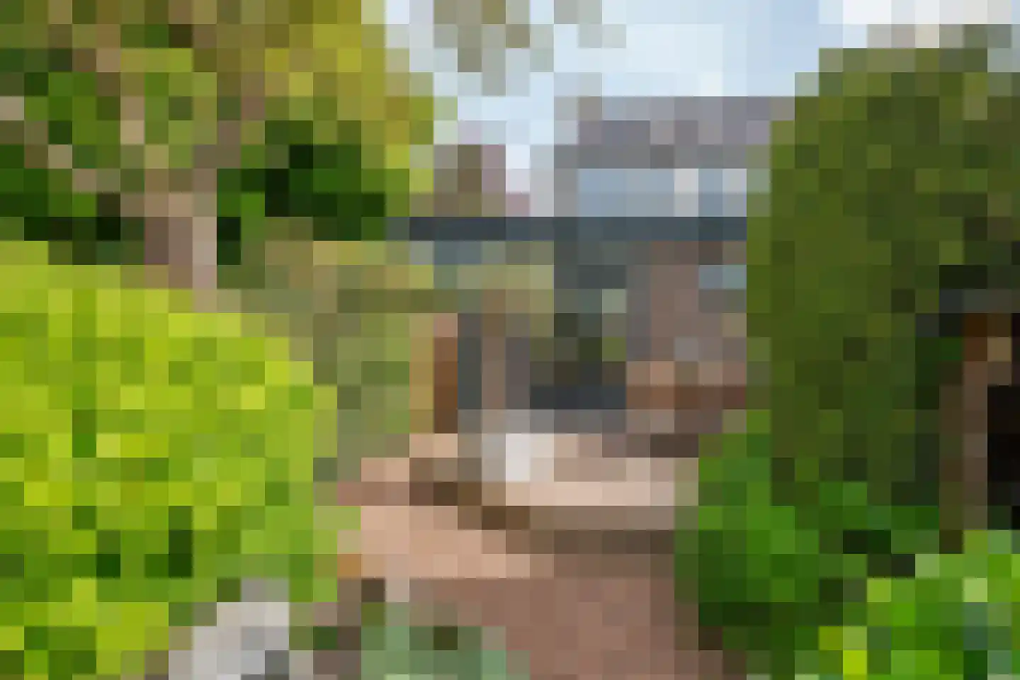 Lijsterstraat 2 Tiel thumbnail 19