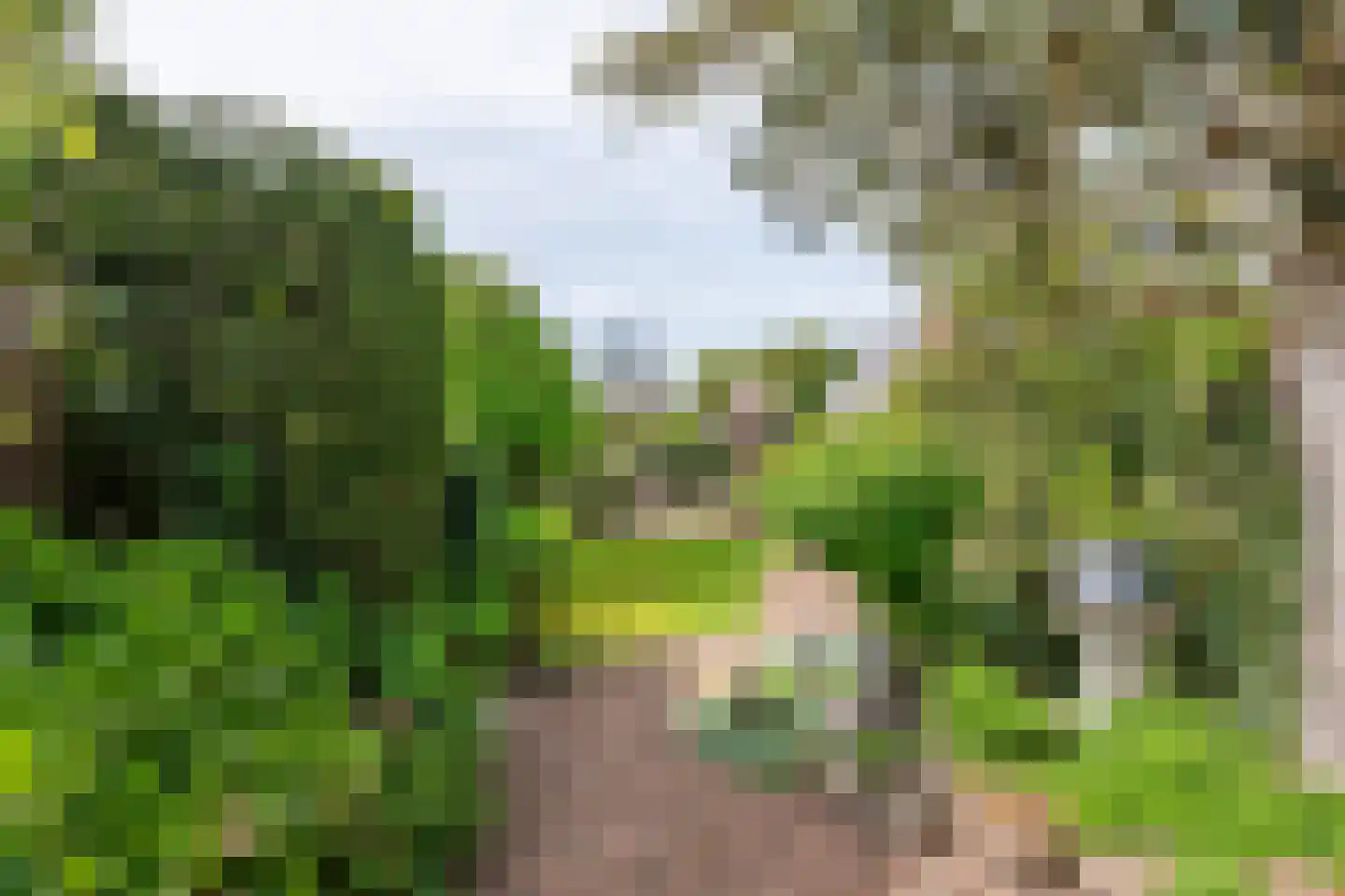 Lijsterstraat 2 Tiel thumbnail 21