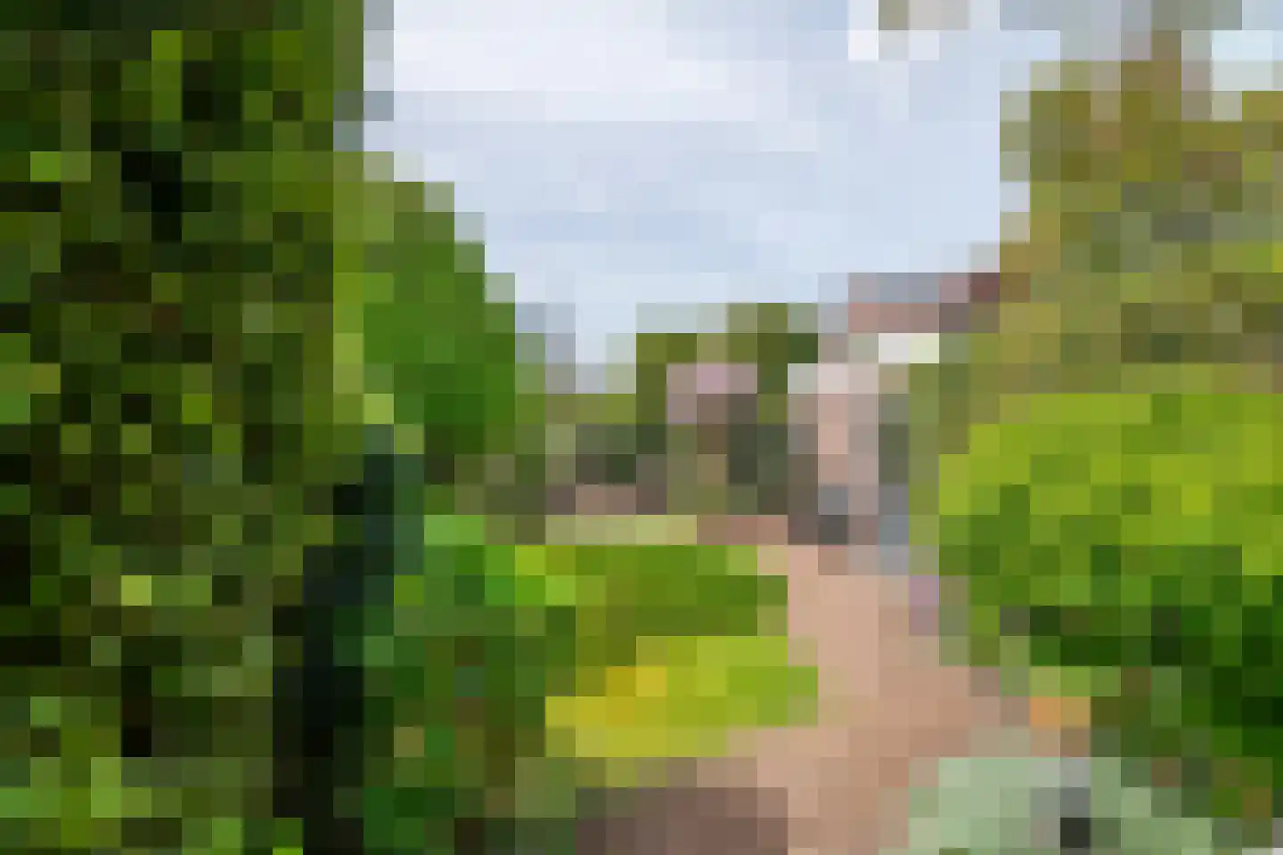 Lijsterstraat 2 Tiel thumbnail 22