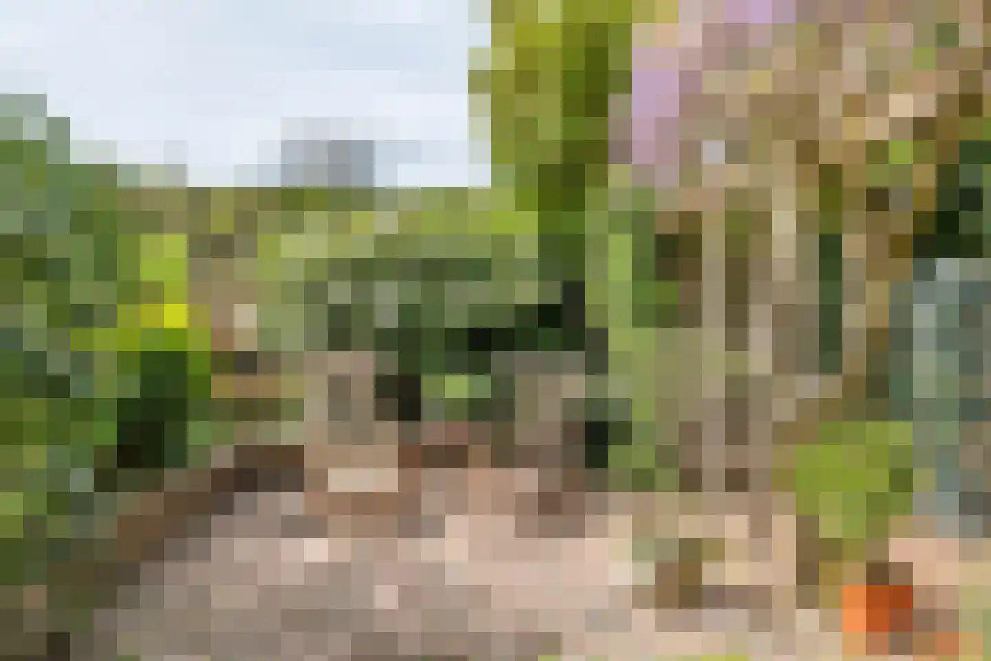 Lijsterstraat 2 Tiel thumbnail 24