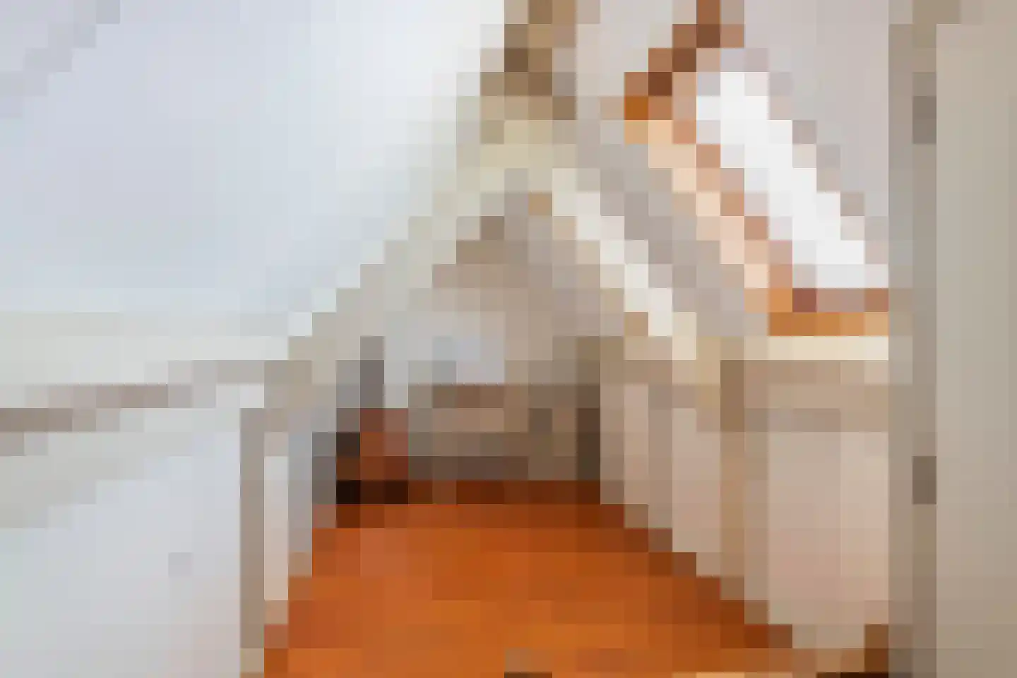 Lijsterstraat 2 Tiel thumbnail 35