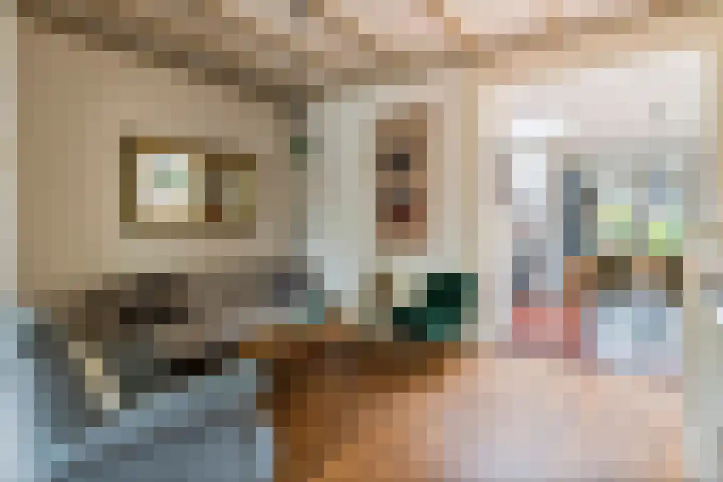 Lijsterstraat 2 Tiel thumbnail 5