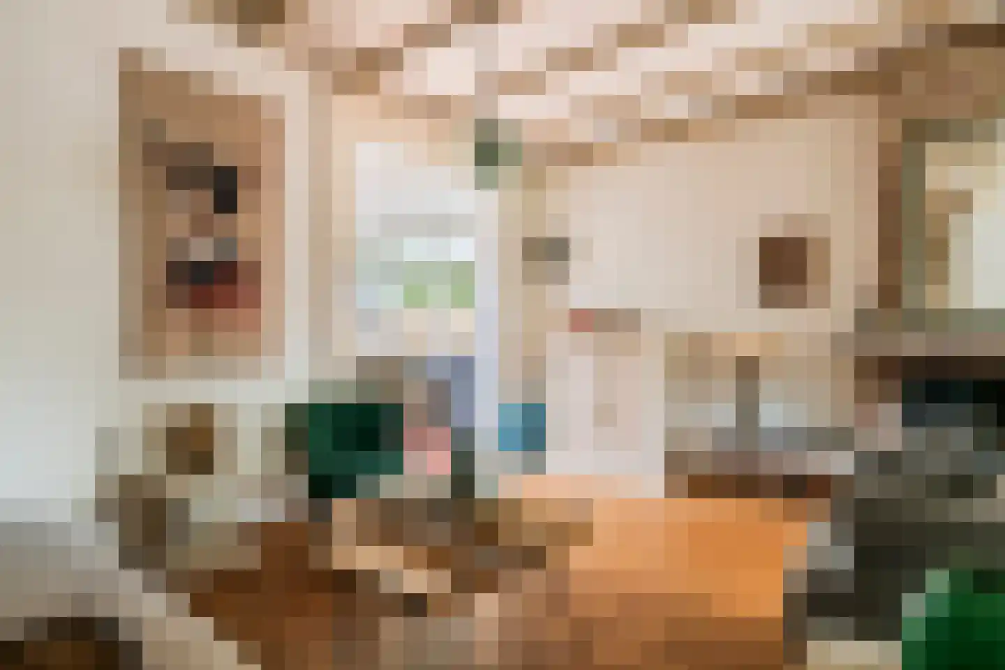 Lijsterstraat 2 Tiel thumbnail 6