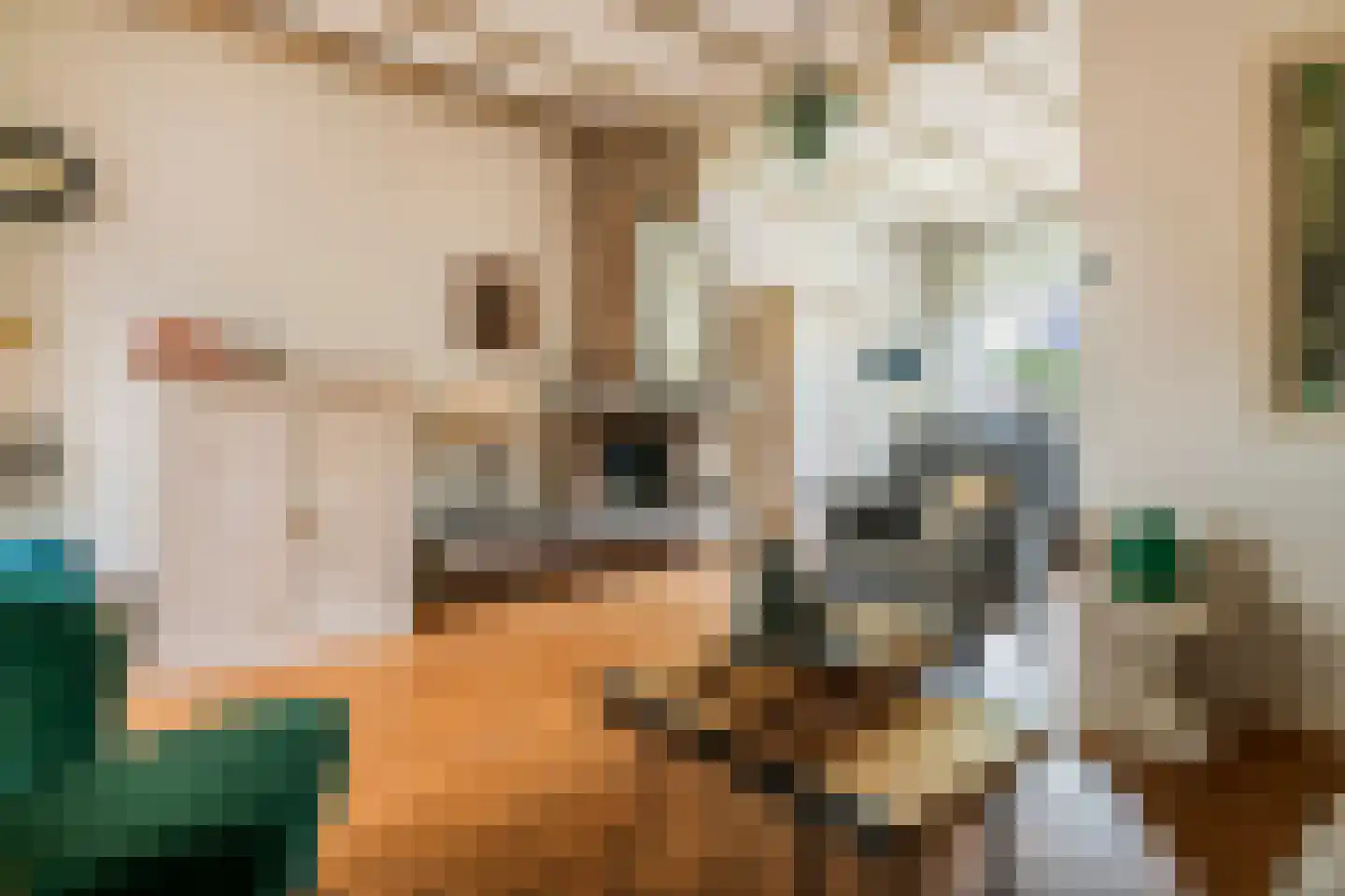 Lijsterstraat 2 Tiel thumbnail 7
