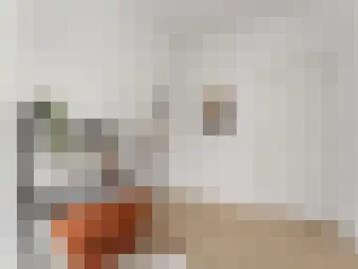 Lijsterstraat 2 Utrecht thumbnail 13