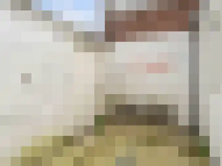 Lijsterstraat 2 Utrecht thumbnail 17