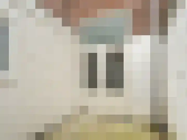 Lijsterstraat 2 Utrecht thumbnail 18