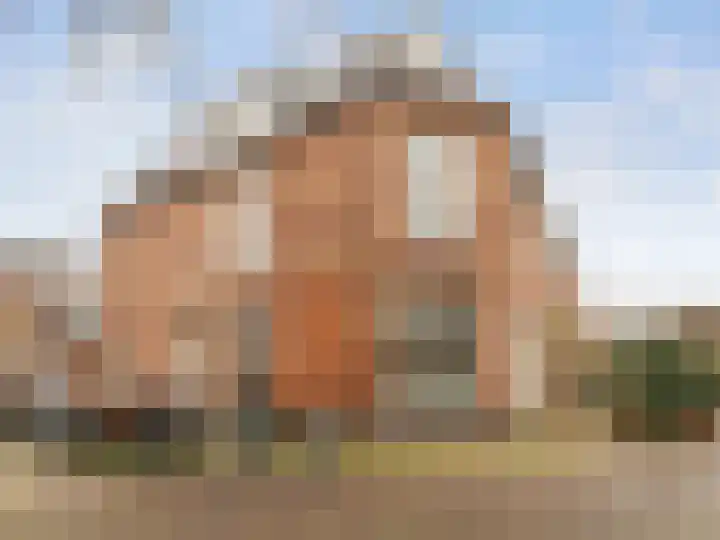Lijsterstraat 2 Utrecht thumbnail 23