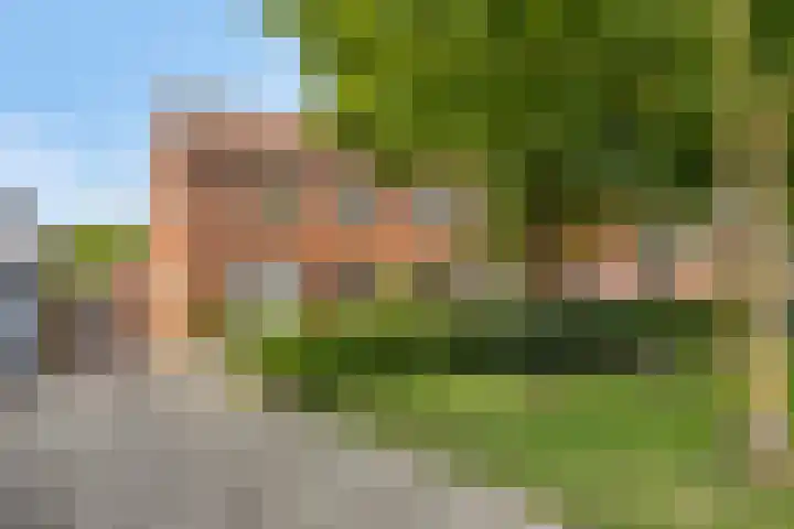 Lijsterstraat 21 Haaksbergen thumbnail 5