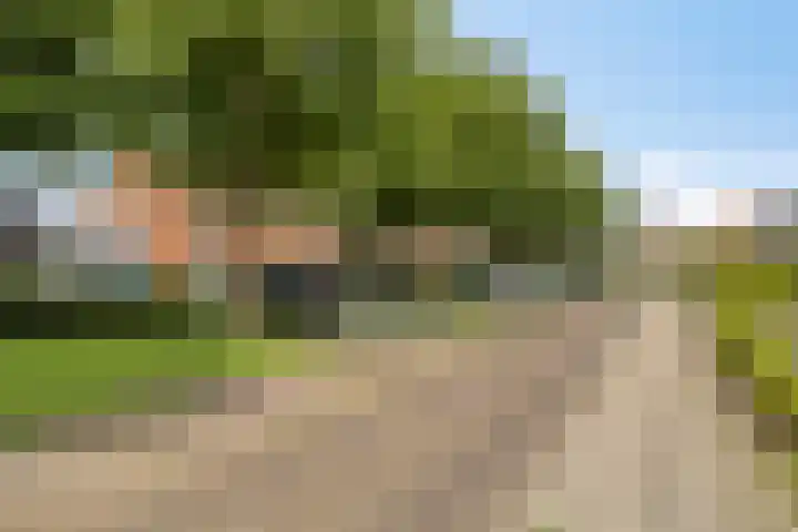 Lijsterstraat 21 Haaksbergen thumbnail 6