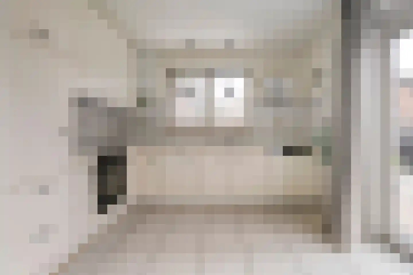 Lijsterstraat 21 Nijeveen thumbnail 10