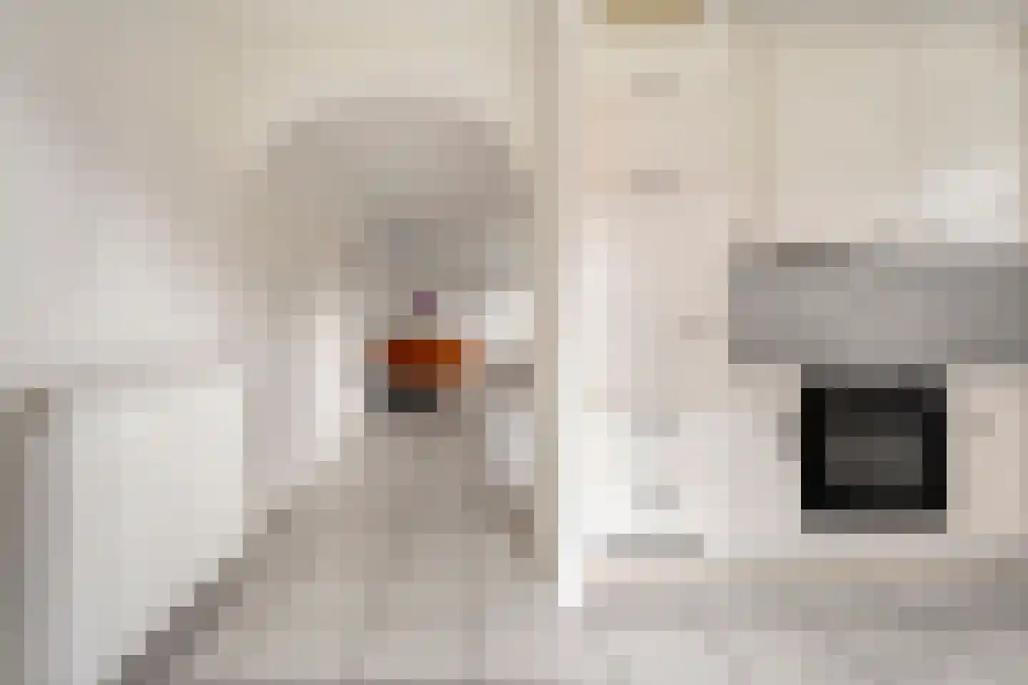 Lijsterstraat 21 Nijeveen thumbnail 11