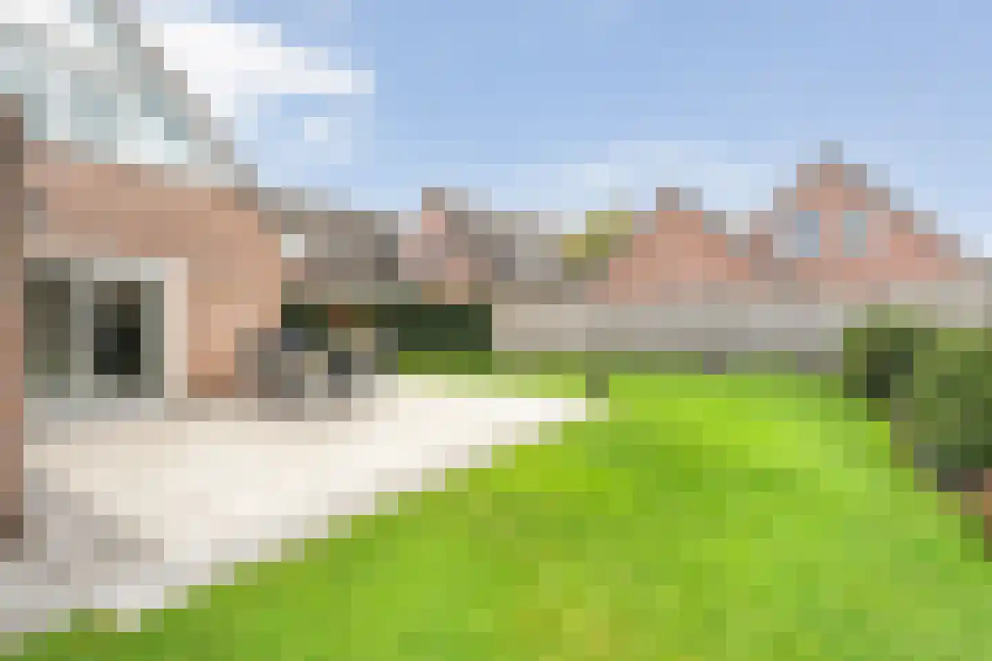 Lijsterstraat 21 Nijeveen thumbnail 30