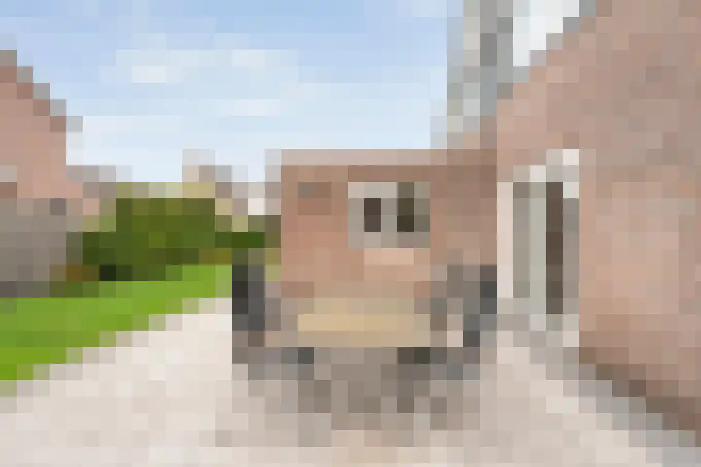 Lijsterstraat 21 Nijeveen thumbnail 31