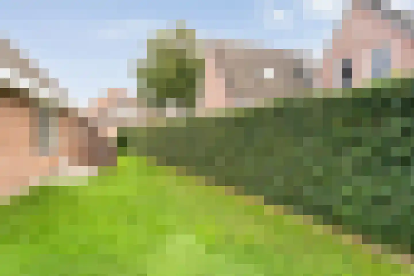 Lijsterstraat 21 Nijeveen thumbnail 32