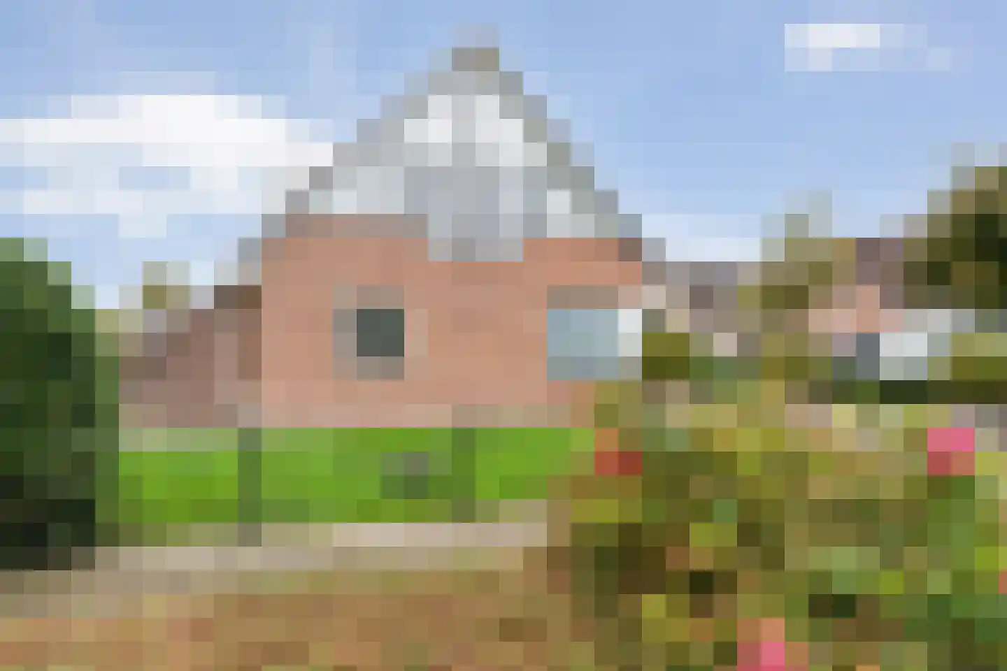 Lijsterstraat 21 Nijeveen thumbnail 37