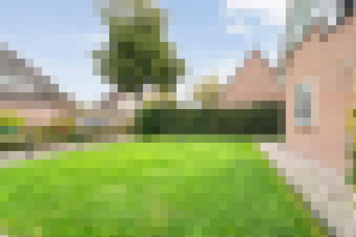 Lijsterstraat 21 Nijeveen thumbnail 38