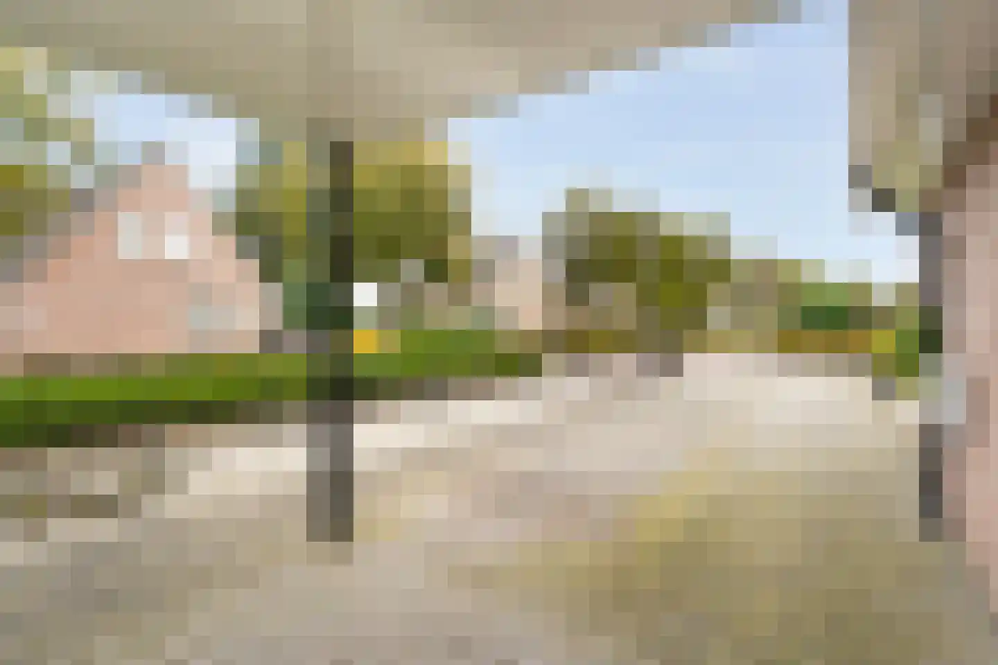 Lijsterstraat 21 Nijeveen thumbnail 39