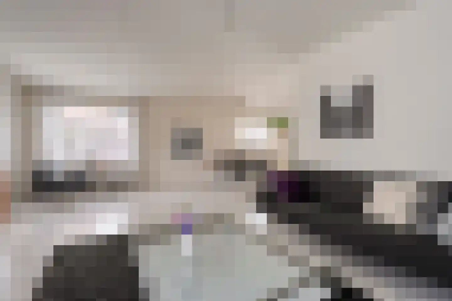 Lijsterstraat 21 Nijeveen thumbnail 6