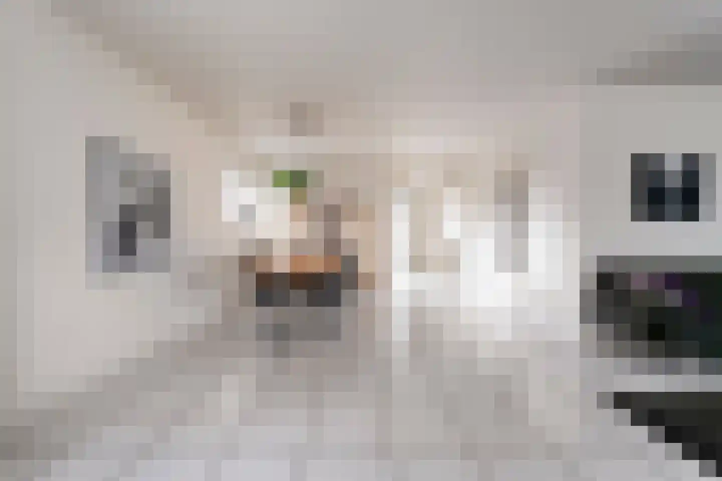 Lijsterstraat 21 Nijeveen thumbnail 7