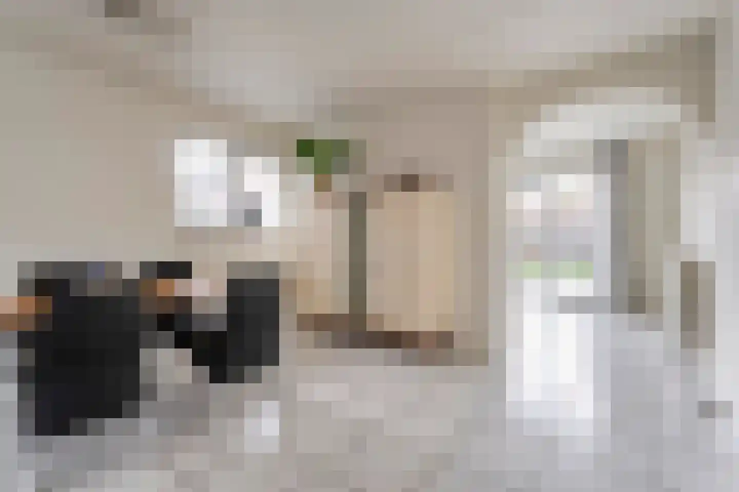 Lijsterstraat 21 Nijeveen thumbnail 8