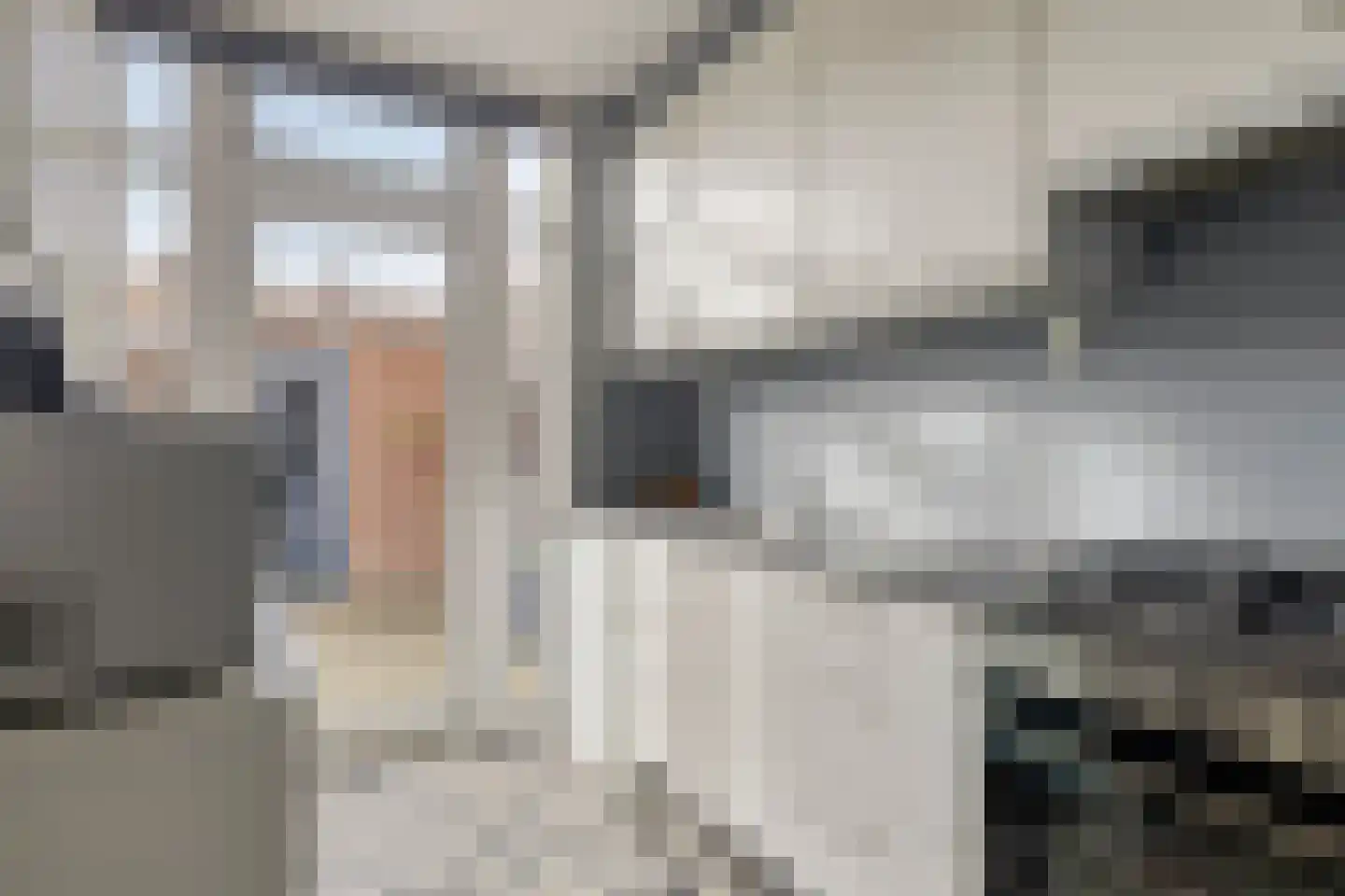 Lijsterstraat 21 Ulft thumbnail 19