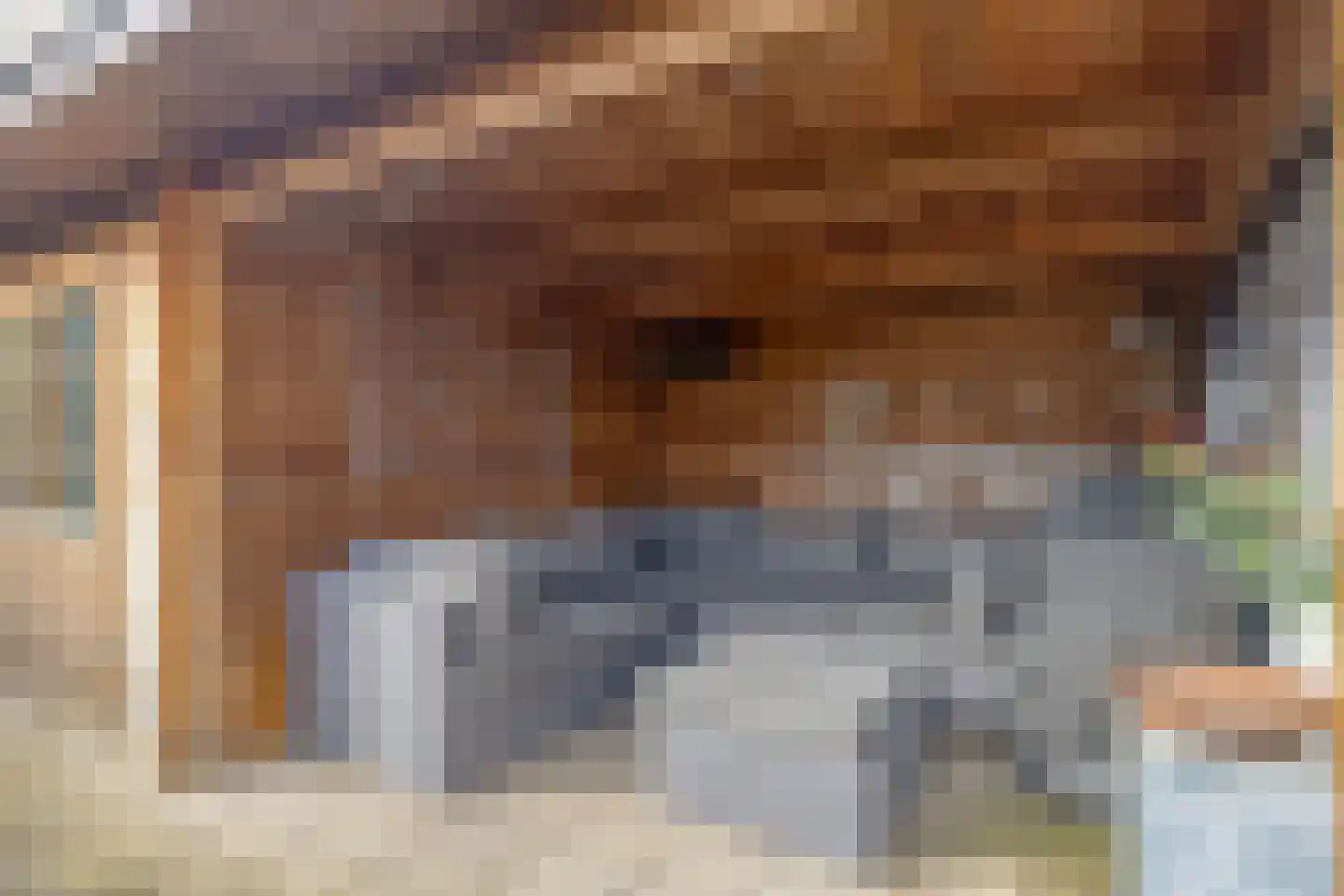 Lijsterstraat 21 Ulft thumbnail 31