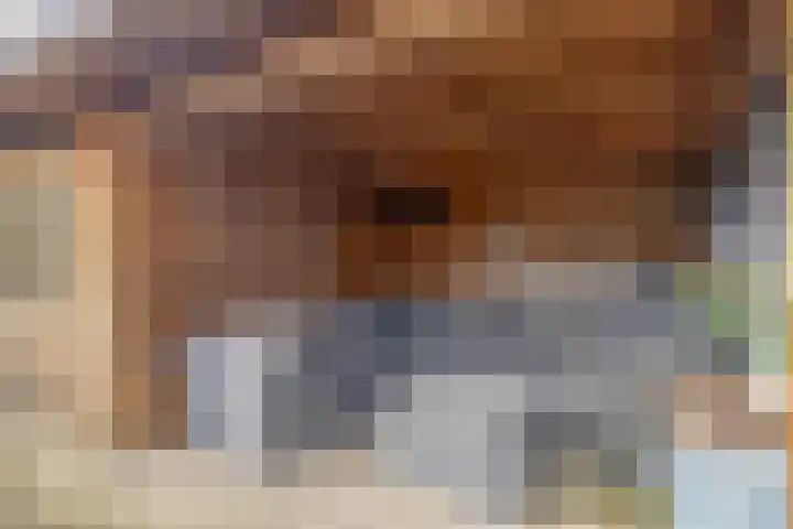 Lijsterstraat 21 Ulft thumbnail 31