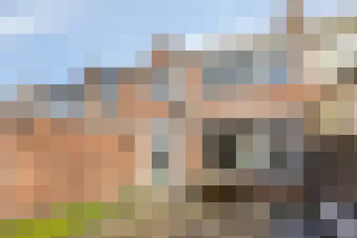 Lijsterstraat 21 Ulft thumbnail 34
