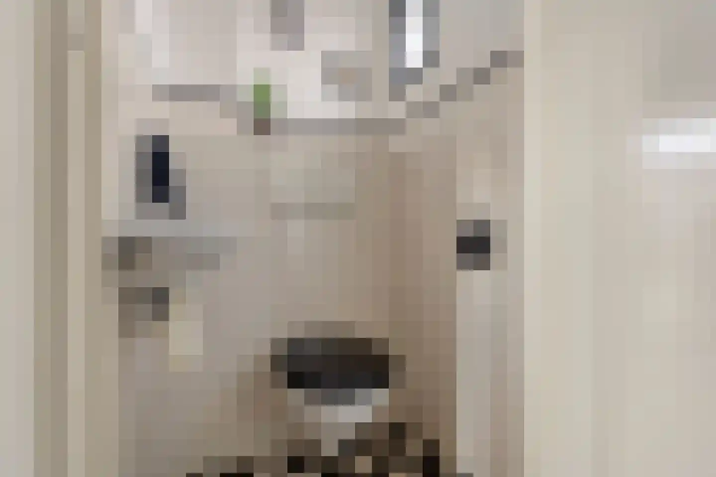 Lijsterstraat 21 Ulft thumbnail 9