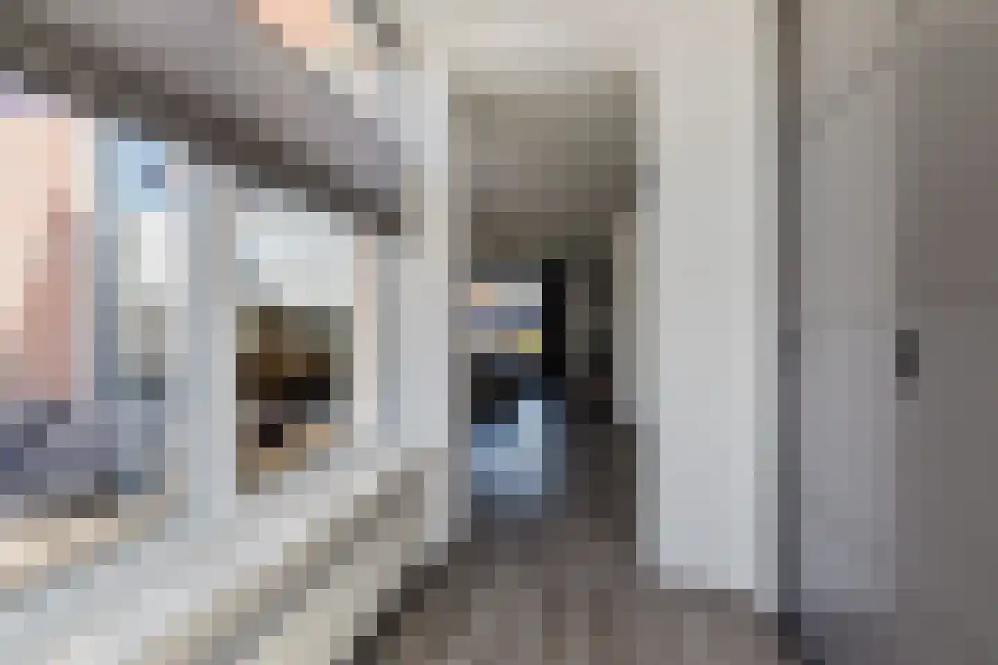 Lijsterstraat 23 Zundert thumbnail 25