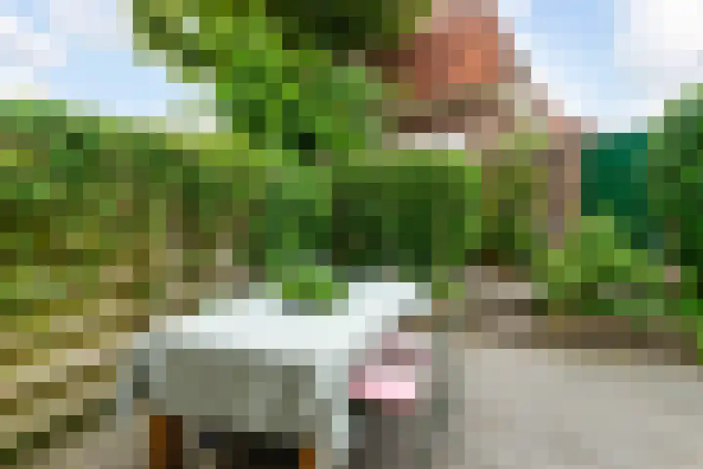 Lijsterstraat 25 Arnhem thumbnail 44