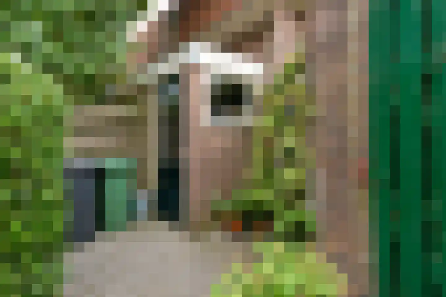 Lijsterstraat 25 Arnhem thumbnail 51