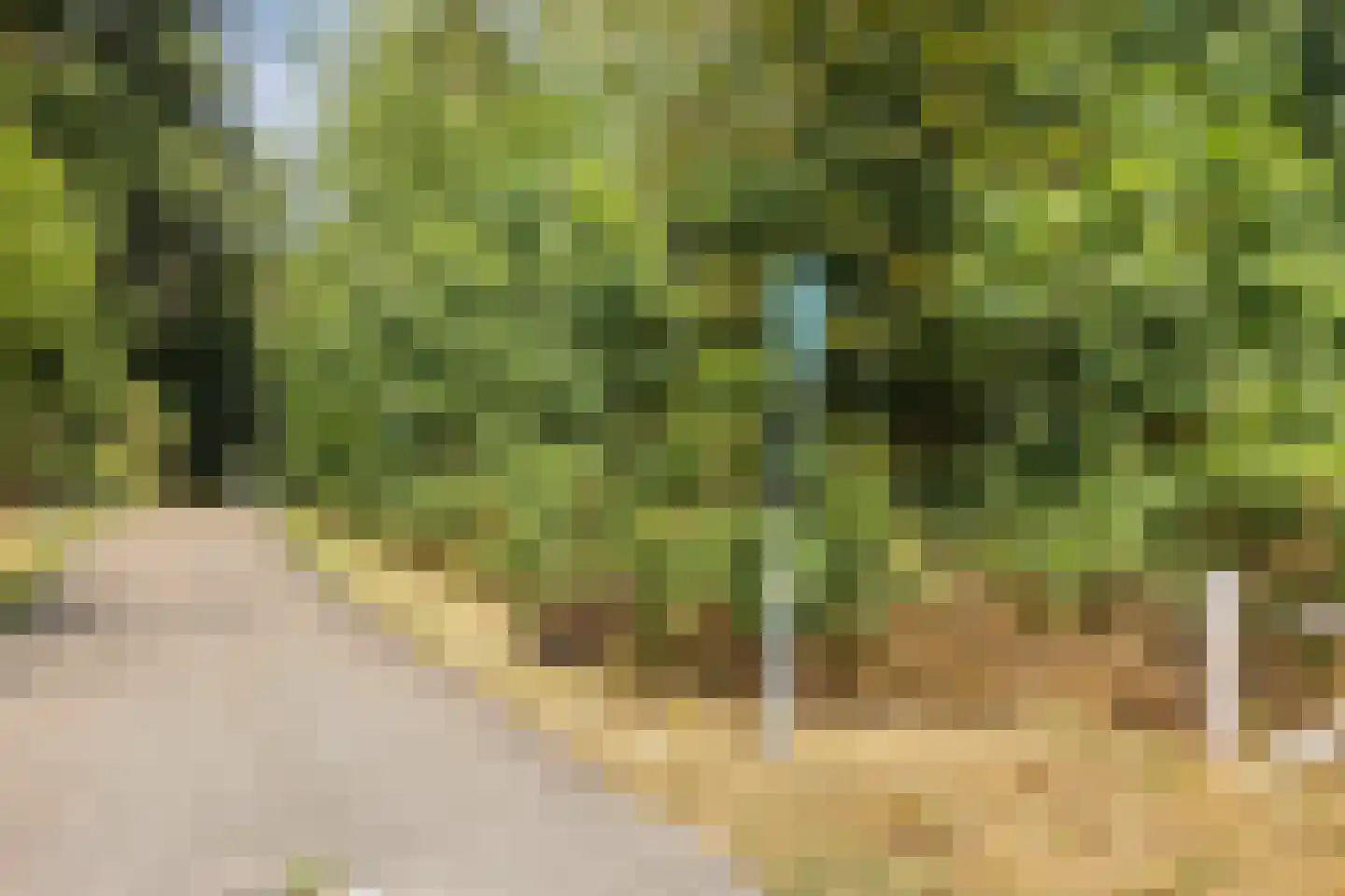 Lijsterstraat 28 Arnhem thumbnail 27