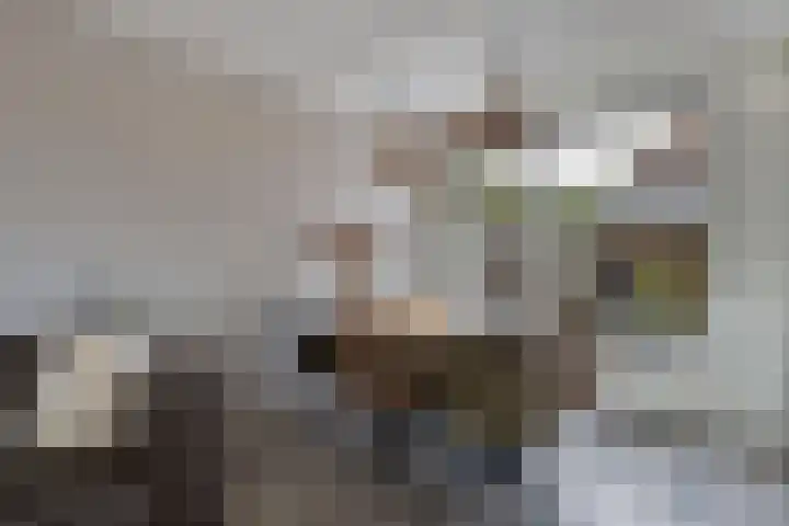 Lijsterstraat 29 Wolvega thumbnail 12