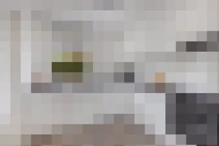 Lijsterstraat 29 Wolvega thumbnail 16