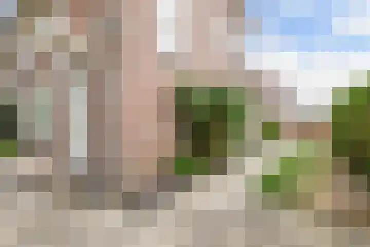 Lijsterstraat 29 Wolvega thumbnail 40
