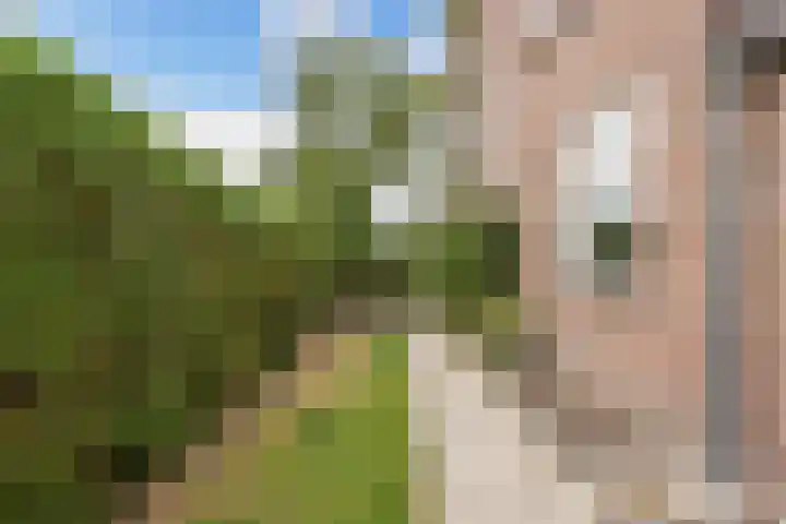Lijsterstraat 29 Wolvega thumbnail 41