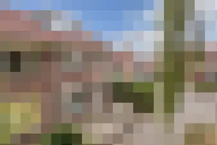 Lijsterstraat 29 Wolvega thumbnail 45