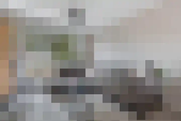 Lijsterstraat 29 Wolvega thumbnail 7