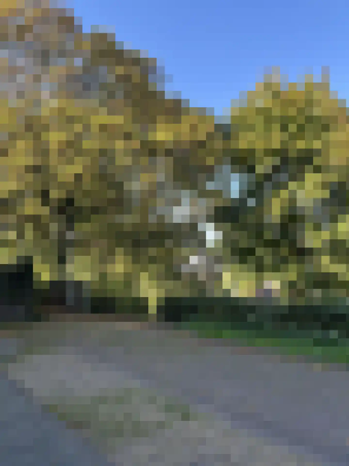Lijsterstraat 3 Arnhem thumbnail 30
