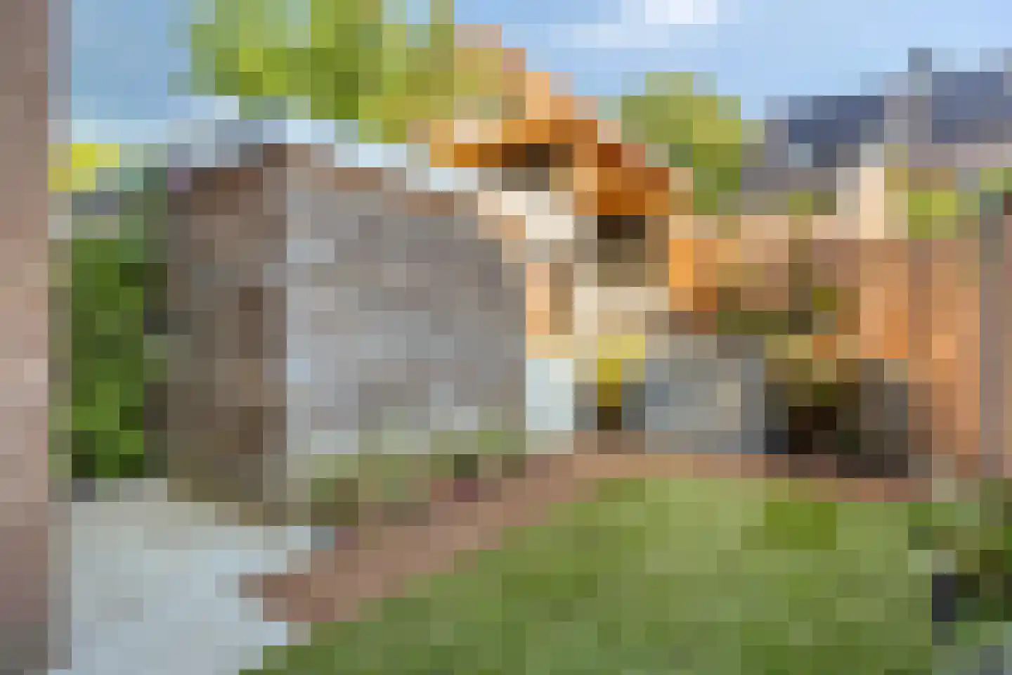 Lijsterstraat 3 Arnhem thumbnail 9