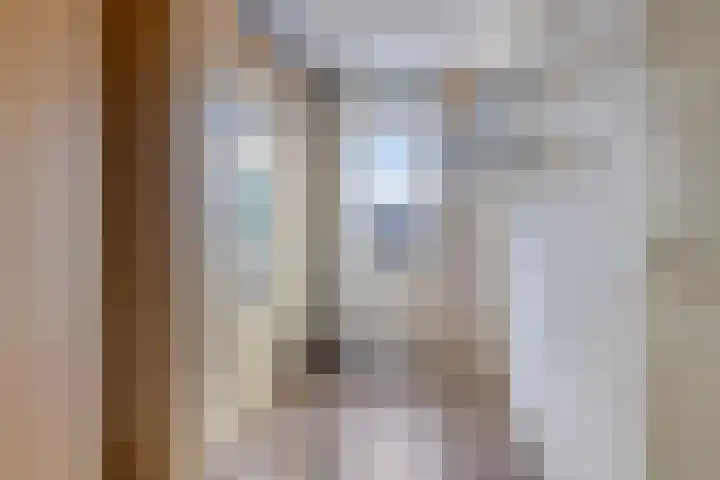 Lijsterstraat 3 Winterswijk thumbnail 32