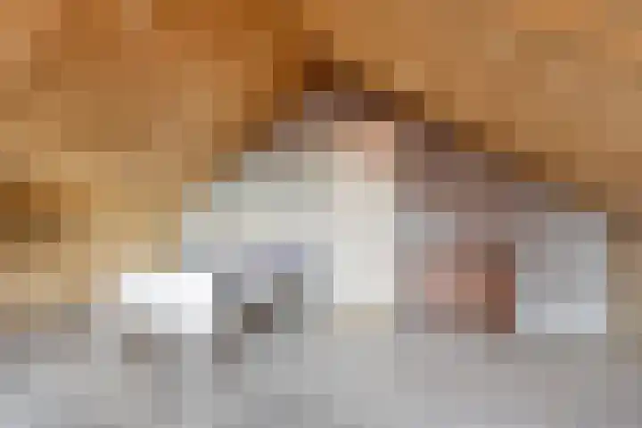 Lijsterstraat 3 Winterswijk thumbnail 37