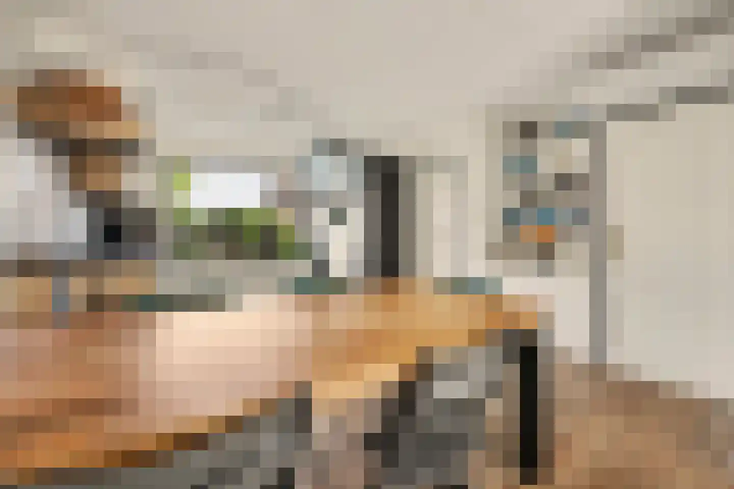 Lijsterstraat 31 Winterswijk thumbnail 12