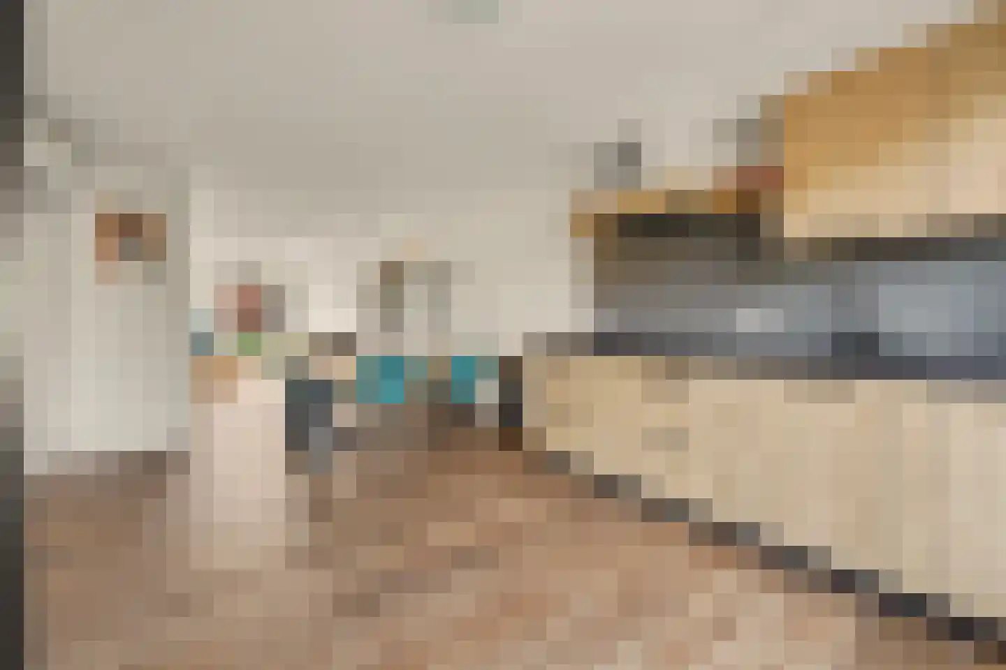 Lijsterstraat 31 Winterswijk thumbnail 15