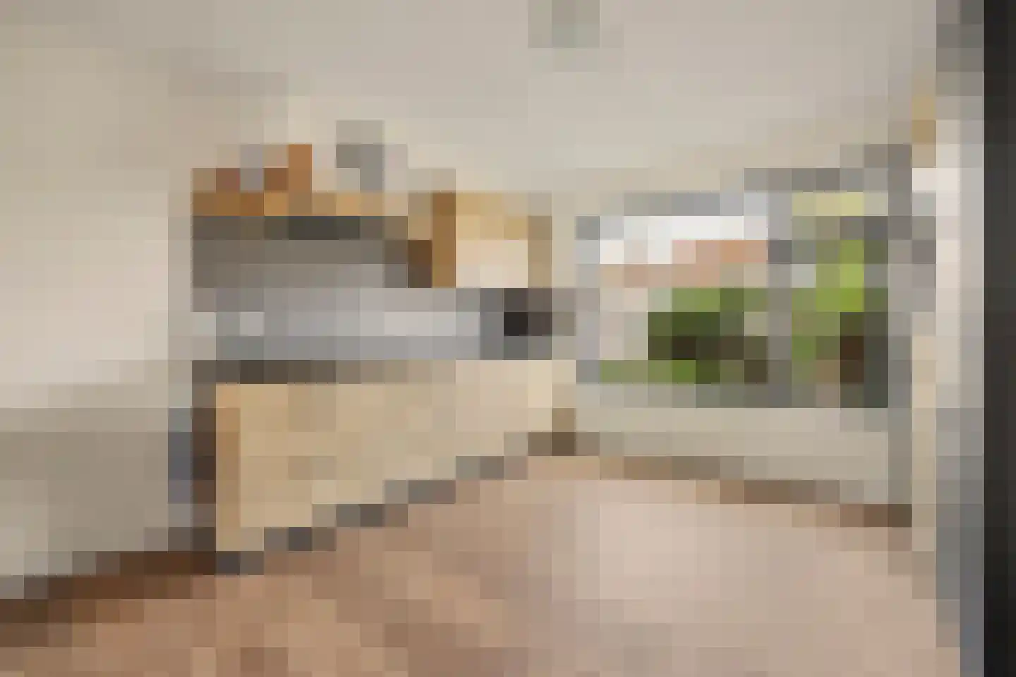 Lijsterstraat 31 Winterswijk thumbnail 16