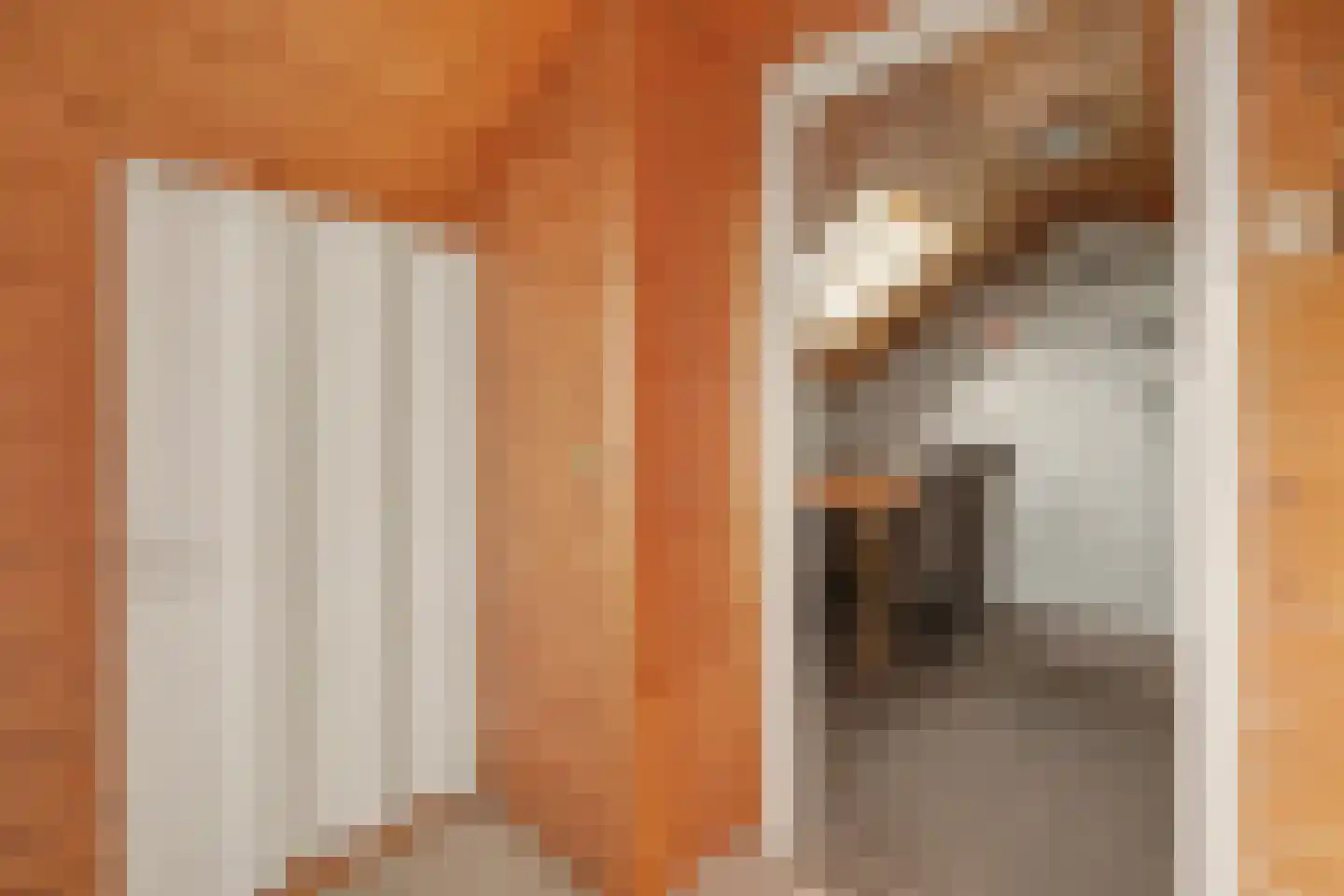 Lijsterstraat 31 Winterswijk thumbnail 34