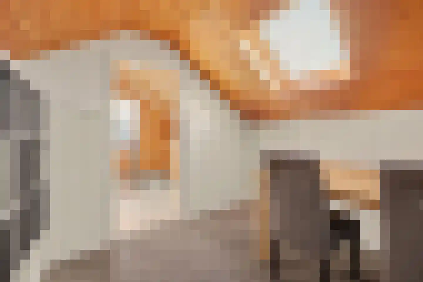 Lijsterstraat 31 Winterswijk thumbnail 36