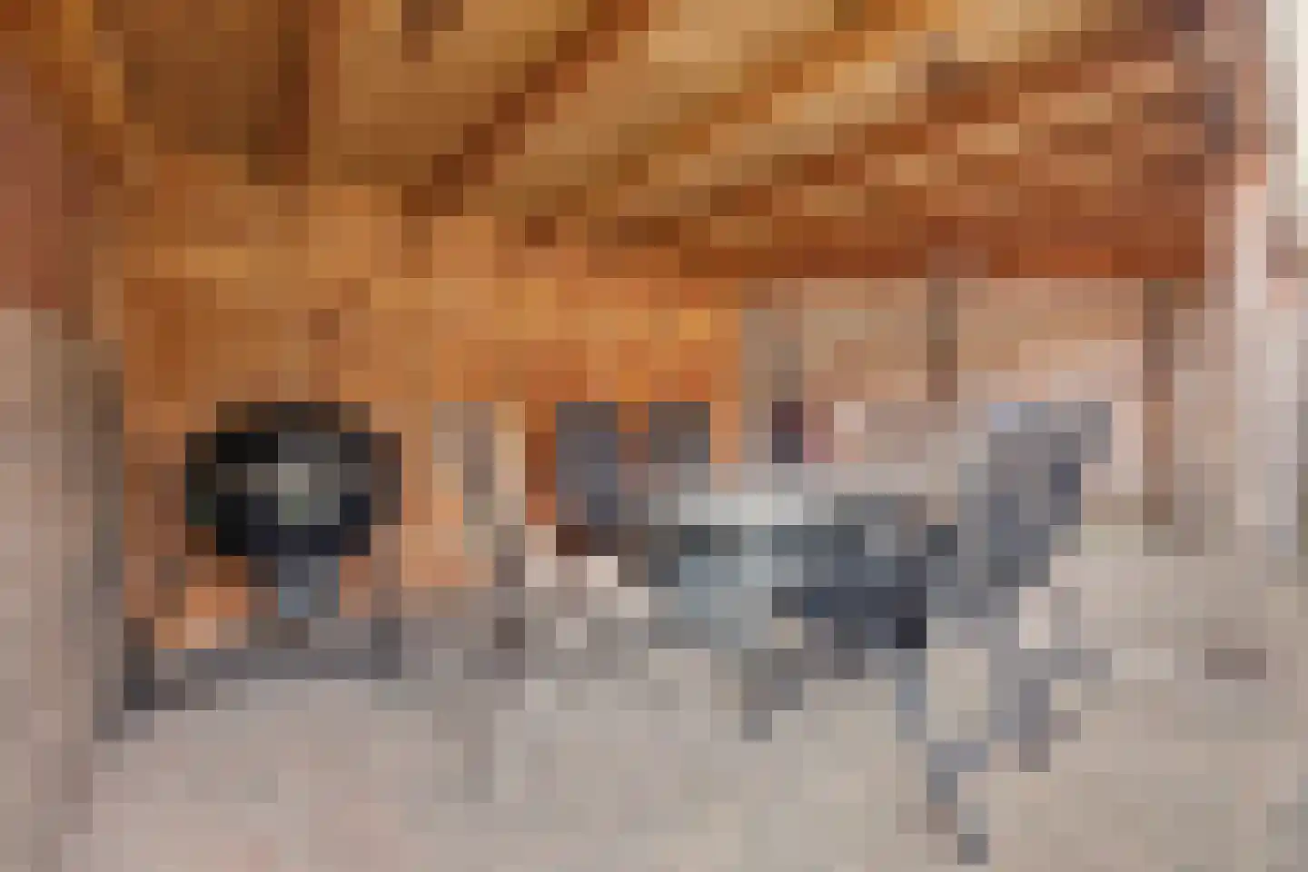 Lijsterstraat 31 Winterswijk thumbnail 38